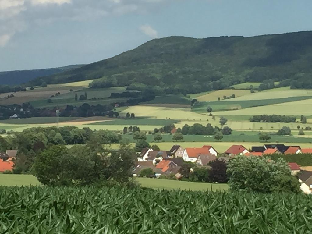 Gaestehaus White Horse Diedersen Coppenbrugge ภายนอก รูปภาพ